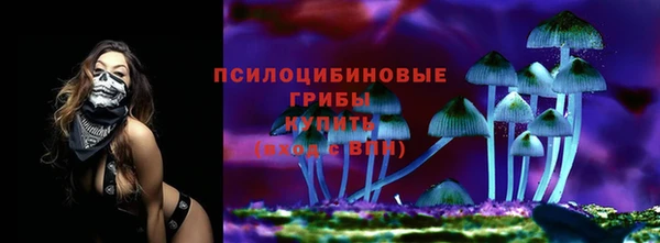 прущая мука Дмитриев