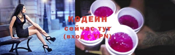 прущая мука Дмитриев
