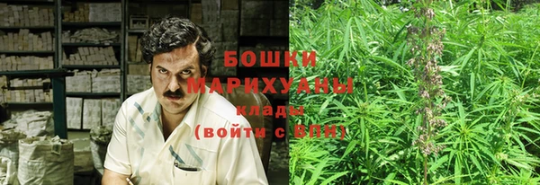 прущая мука Дмитриев